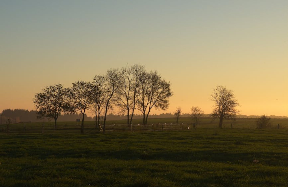 Leuk weekendje weg in Nederland? Dit kun je allemaal doen in Ruurlo!