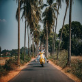 Wat is de beste tijd om naar Sri Lanka te reizen?