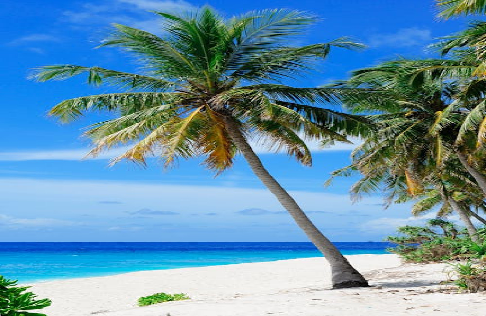 Wat is het verschil tussen Aruba, Curaçao en Bonaire als vakantiebestemming?