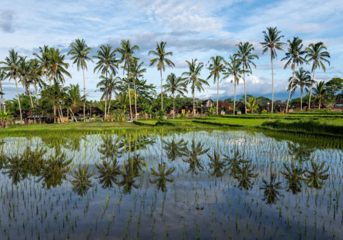 Hoe lang is het vliegen naar Indonesië?