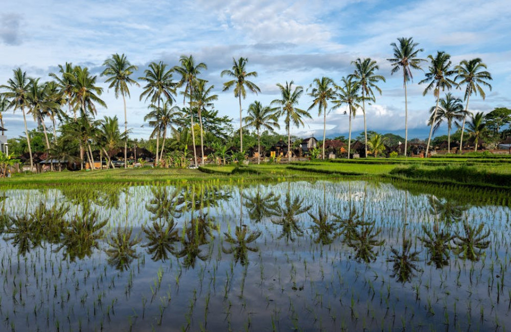 Hoe lang is het vliegen naar Indonesië?