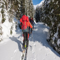 Op wintersport met de elektrische auto