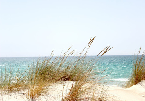Wat kan je doen op het eiland Sylt?